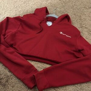 Champion cute cropped hoodie